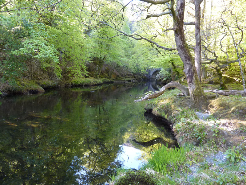 Afon Glaslyn